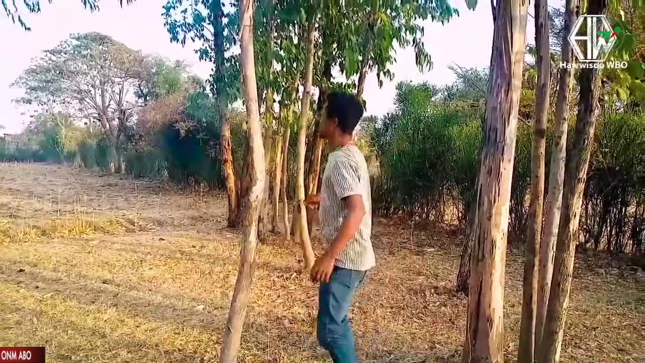 Oduu Ganama ONM-ABO Sadaasa 8-2024 itti dhiyaadhaa!