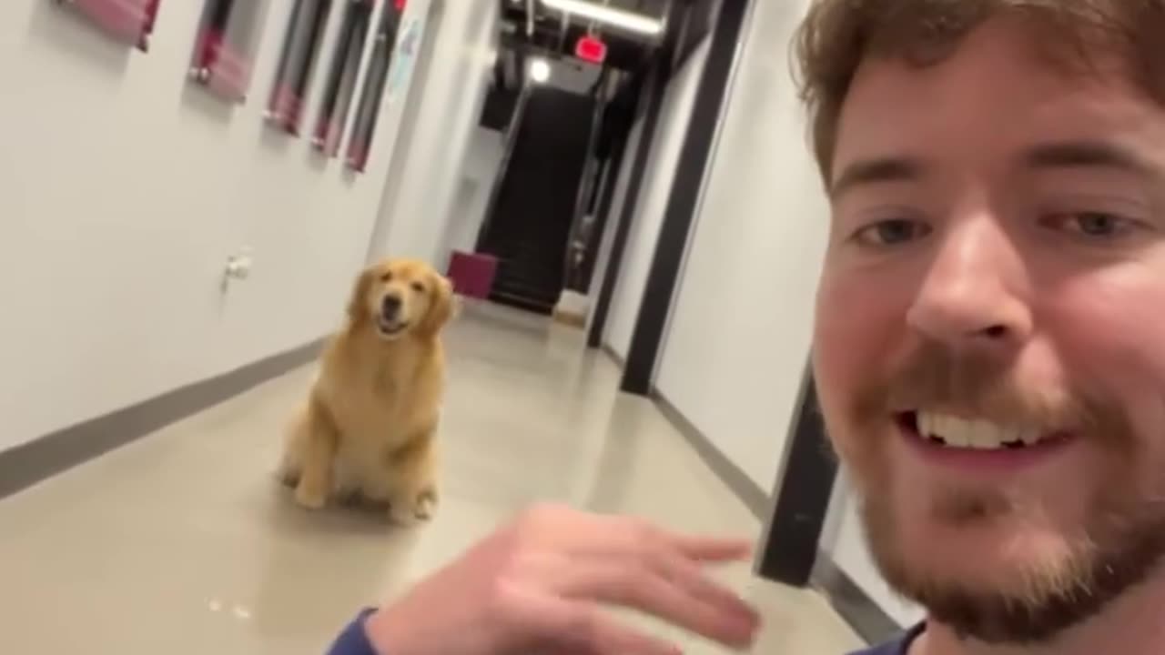 I've never seen a dog to this before 😅