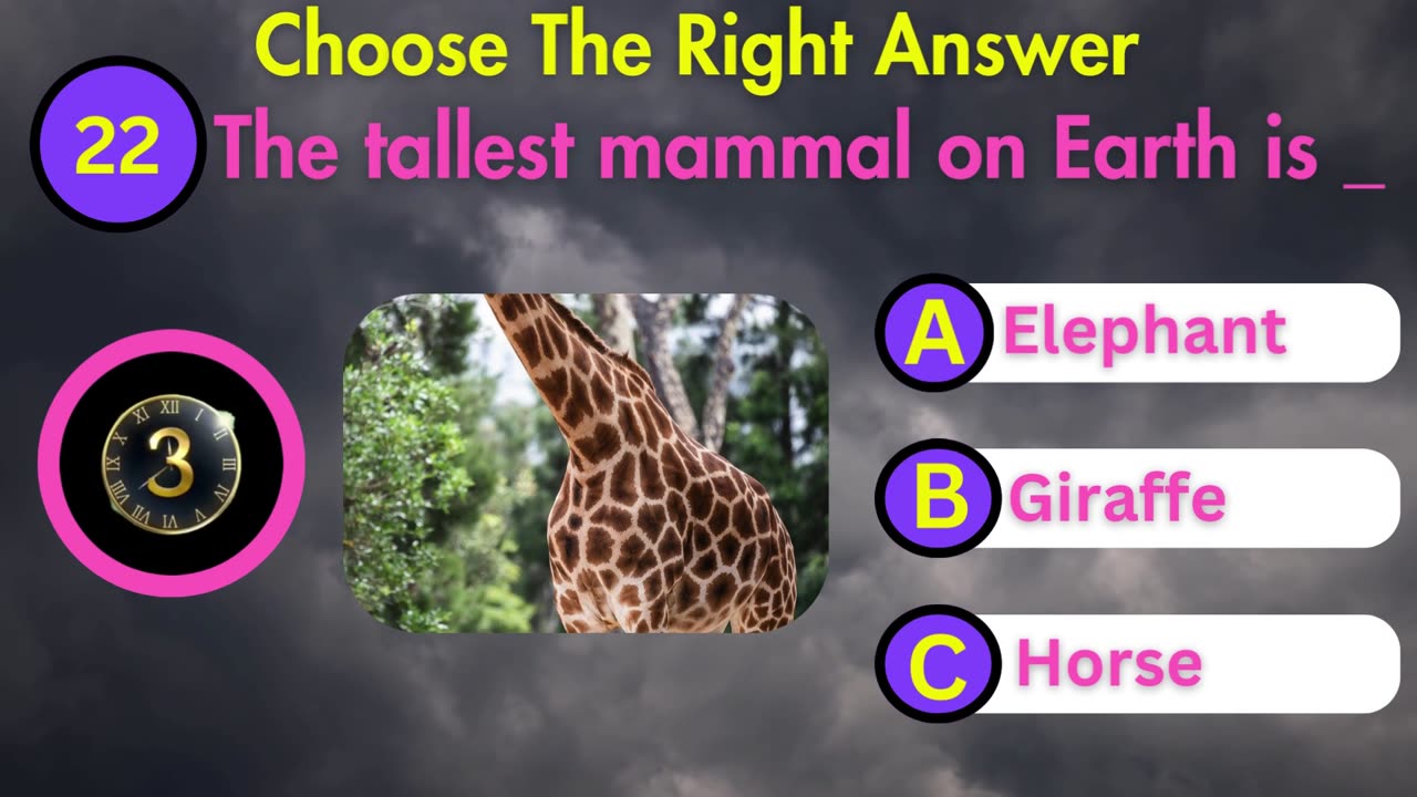 General Knowledge Quiz