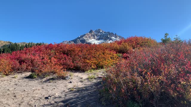 Oregon – Mount Hood – Autumn Wonderland – 4K