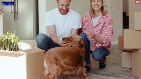 14 Signs Your Dog Doesn’t Love You (Even if You Think They Do)_p3