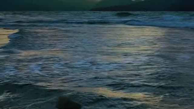 Please describe the scene with your talent