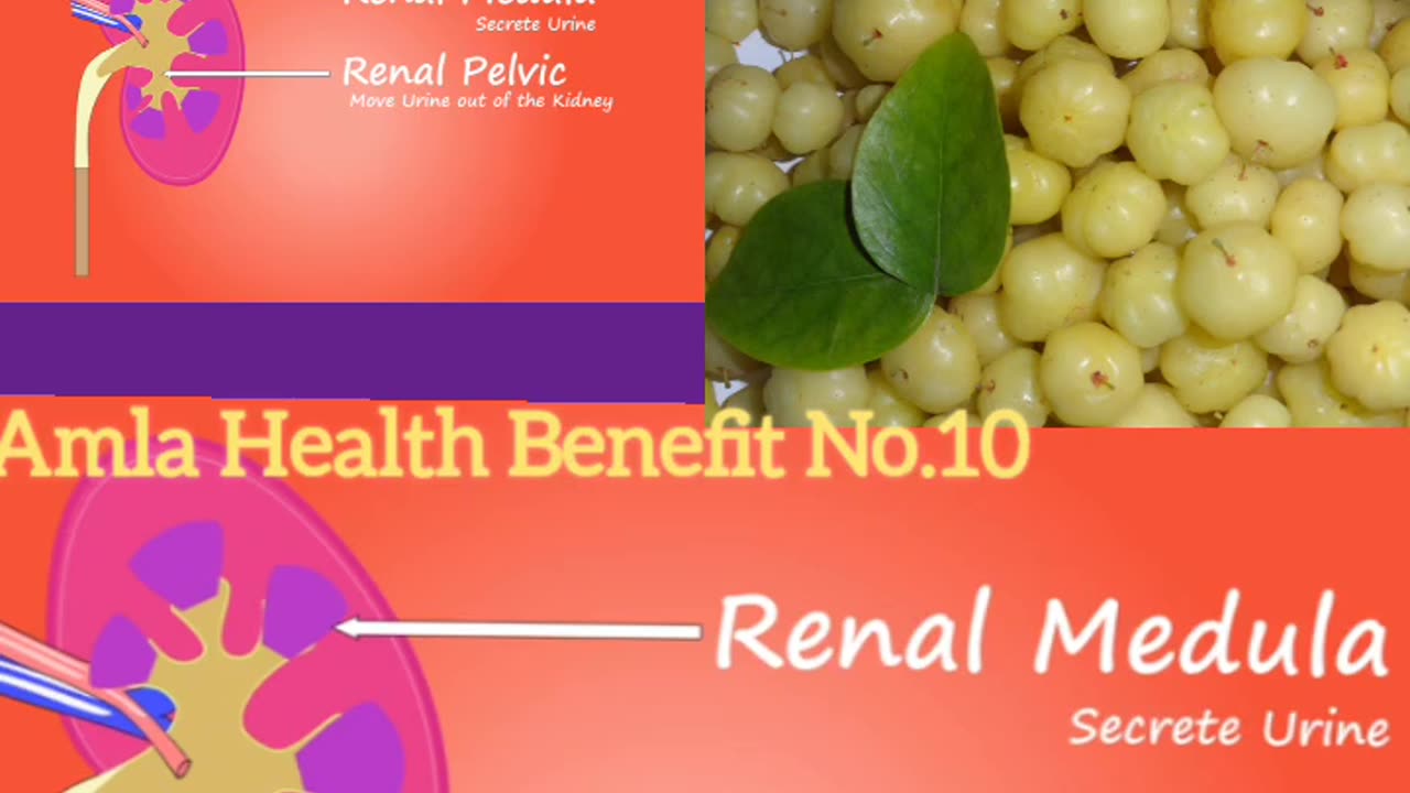 Can Kidney Patients use Amla?