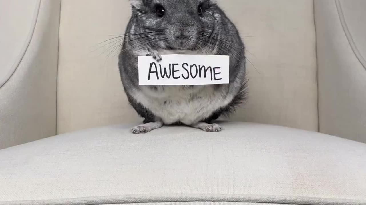 Yes you are awesome