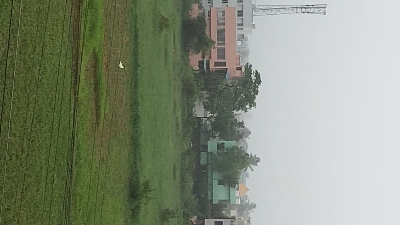 Rain view in our Village