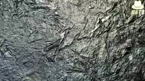 5G: influence on water