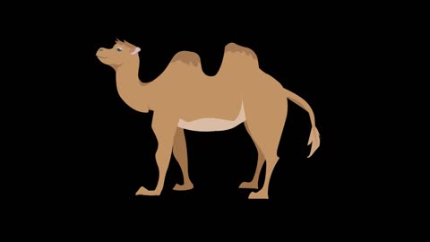 Simple flat painting Windmast animal camel mg animation