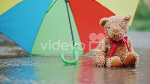 Toys Rain