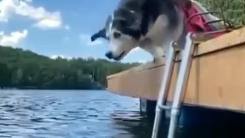 He lost the balance
