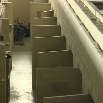 The invisible EMF signature prison torture program