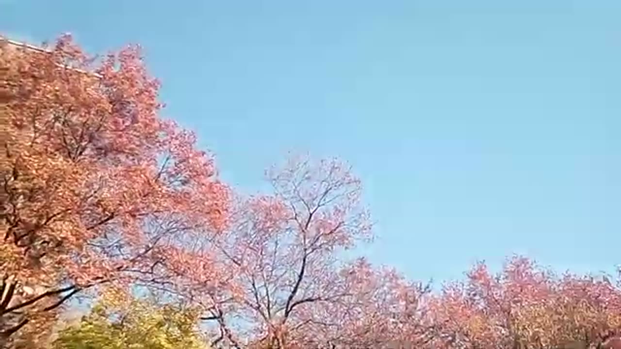 16 de noviembre 2023