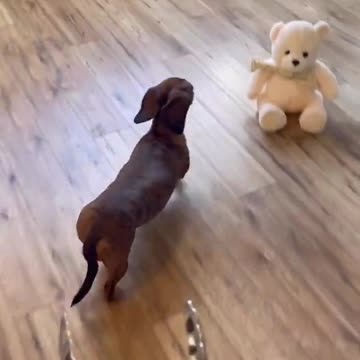 Something is missing