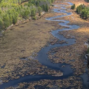 Ontario Wilderness Drone Flight Over Crown Land