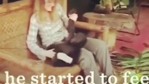 Funny animal videos|Cute animal videos |Funny dog&cat videos|Hilarious pet videos|Funny video
