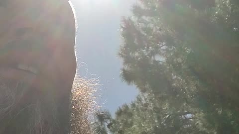 March 26 IRL - what is peace - phoenix az - chemtrails and bad guys