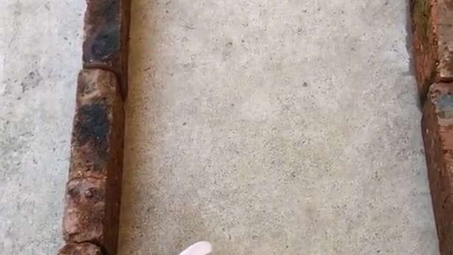 The game between the hare and the tortoise