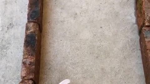The game between the hare and the tortoise