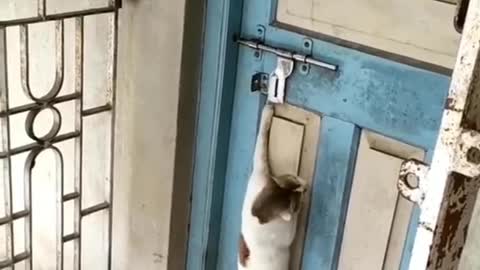 Open the door