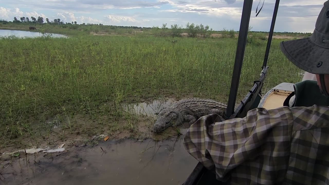 Tourist Boat Gets Too Close to Large Crocodile