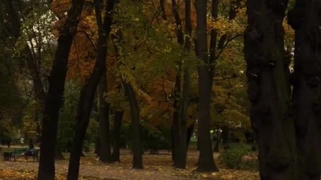 Summer is not over, and autumn is coming. Live well and meet slowly