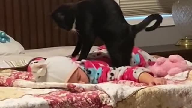 Cat Gives Baby A Chiropractor Massage