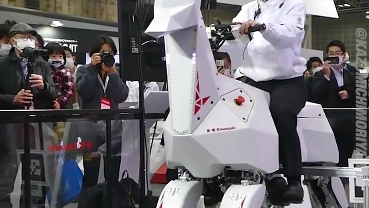 KAWASAKI GOAT ROBOT