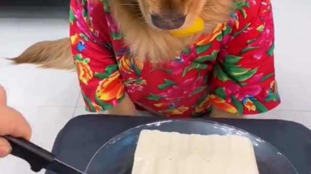 Celebrate its birthday with tofu