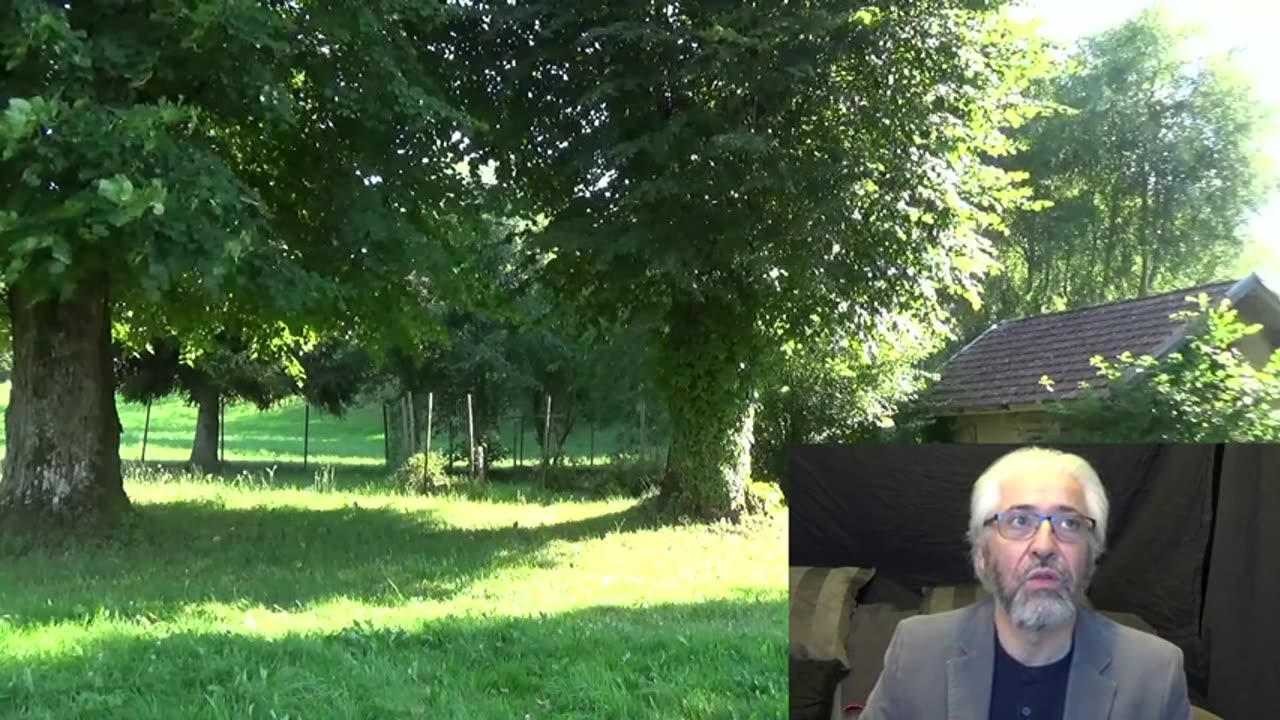 Les armes bio-nano-électromagnétiques