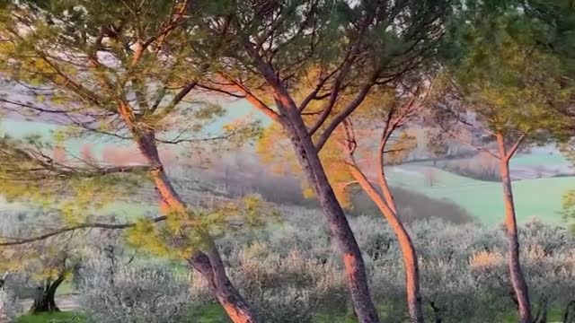 Painful autumn sun, spilled places, touch the warmth