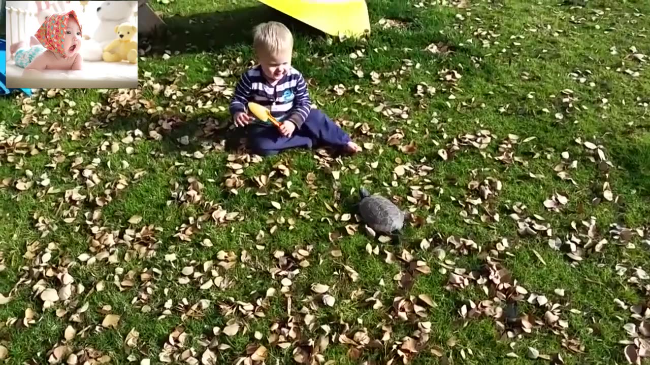 FORGET CATS! Funny KIDS vs ZOO ANIMALS are WAY FUNNIER! - TRY NOT TO LAUGH