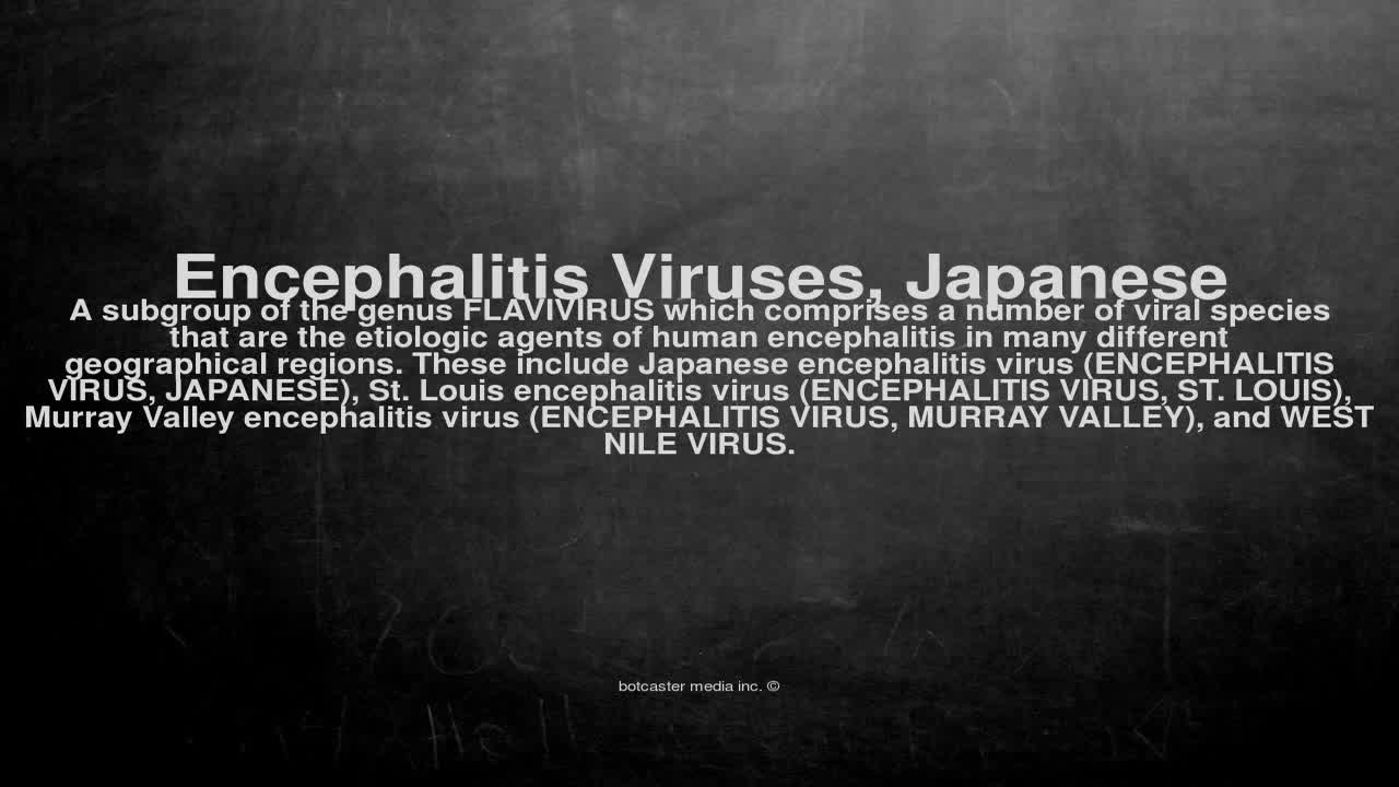 Medical vocabulary: What does Encephalitis Viruses, Japanese mean