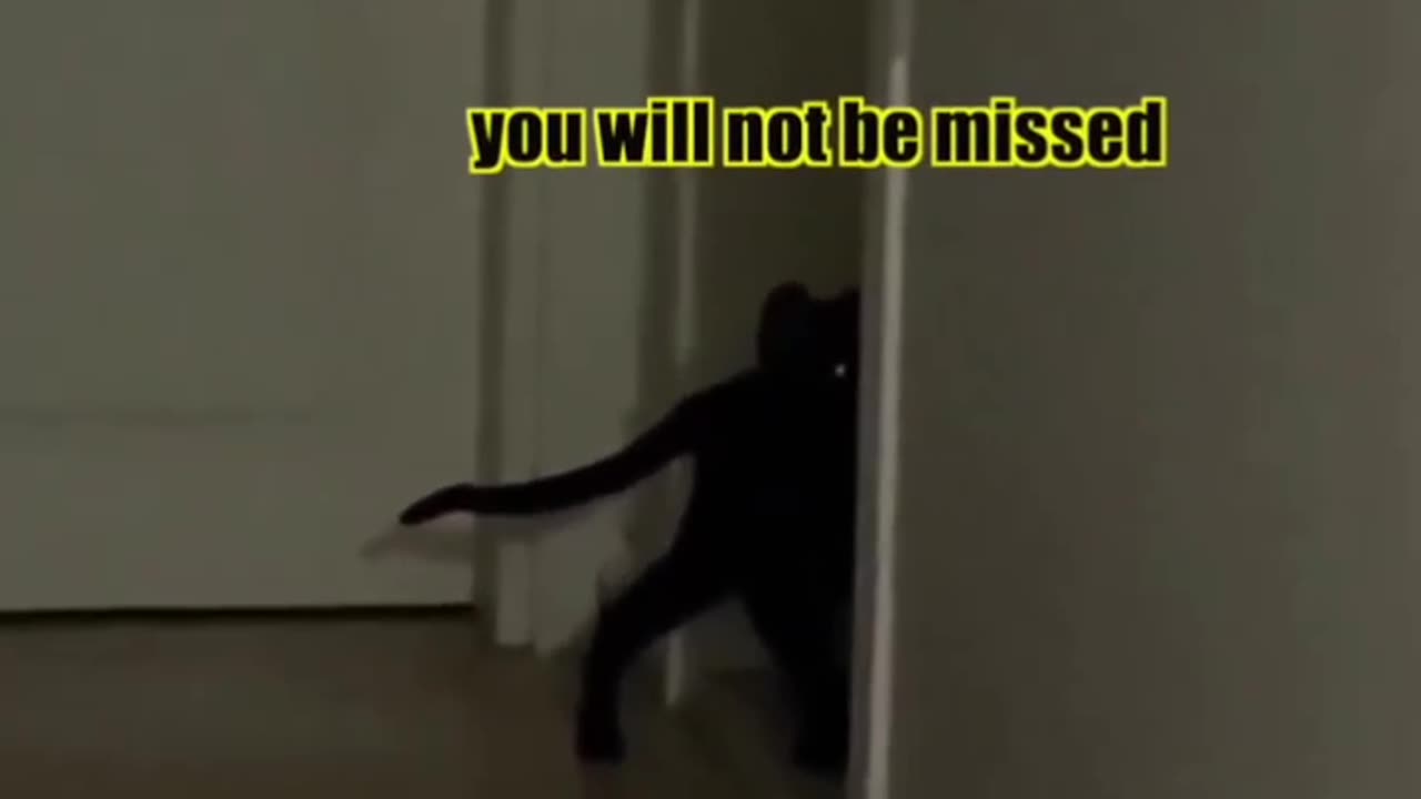 Urgent Warning: Black Nigga🐱CAT Reveals Sinister Plans for Jerry...