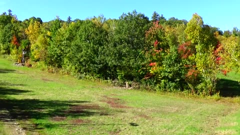 Fall Foliage