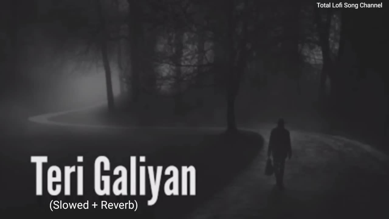 Teri Galiyan (Slowed + Reverb) Ek Villain | Total Lofi Song Channel | Textaudio