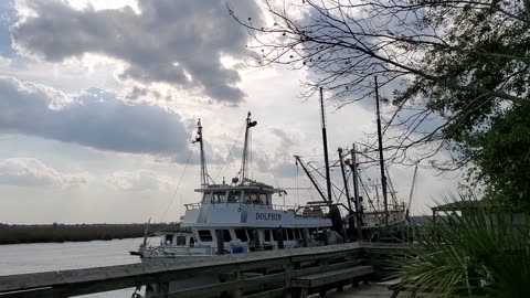 Birds and Boats