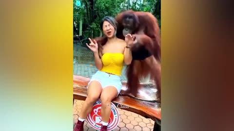 Funny ANIMALS video (7)