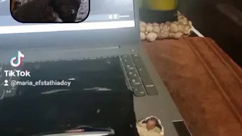 Maria_ Efstathiadoy on TikTok!!!.mp4