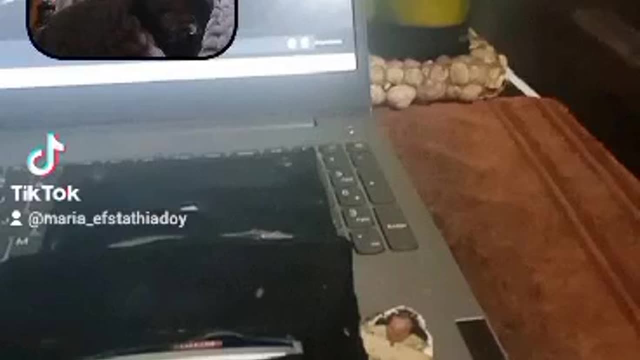 Maria_ Efstathiadoy on TikTok!!!.mp4