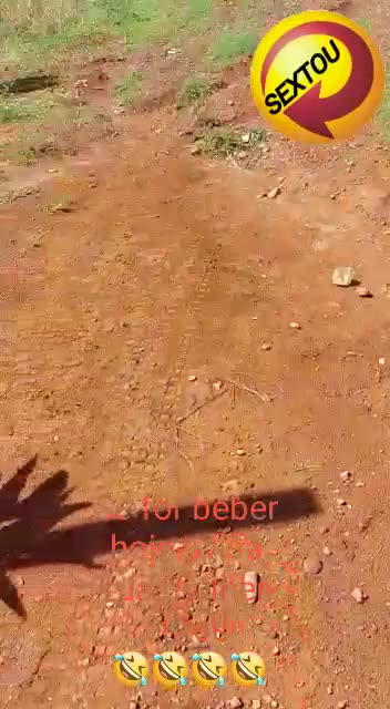 Bom dia gente linda de Viver.17/02/23