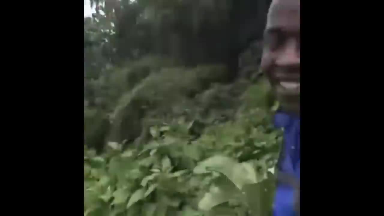 Popular video memes