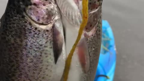 Patriot Fishing part 5-6