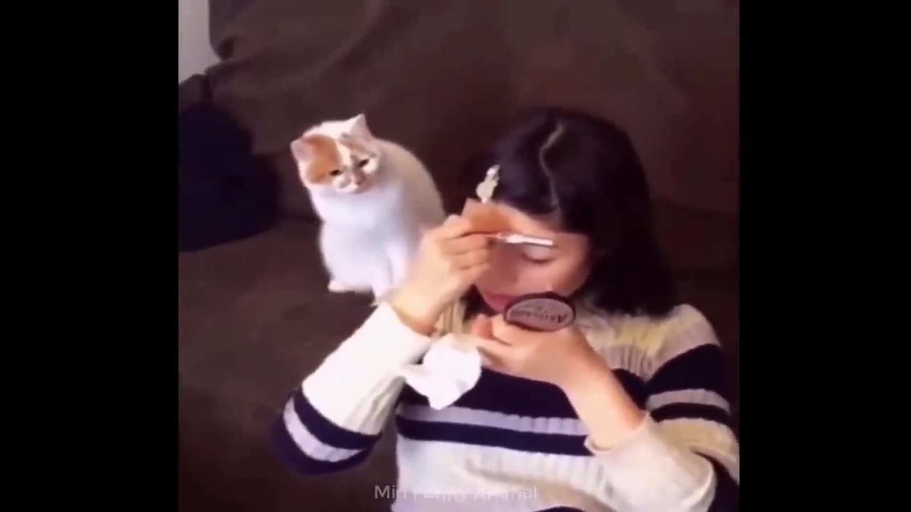 Best Funny Animal part 1