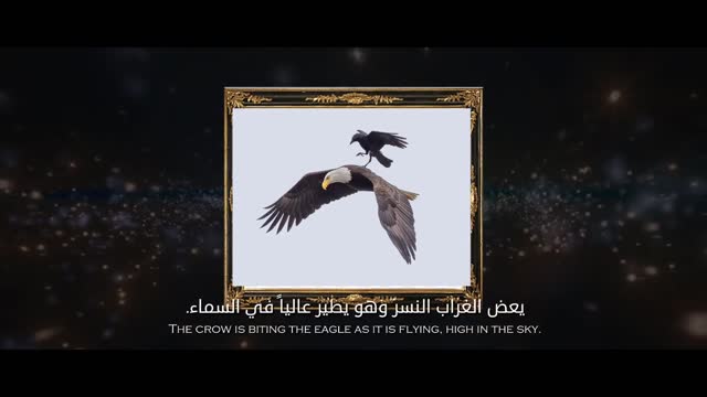 The story (The Eagle and the Crow) to waste your time with the crows of life (translator) _