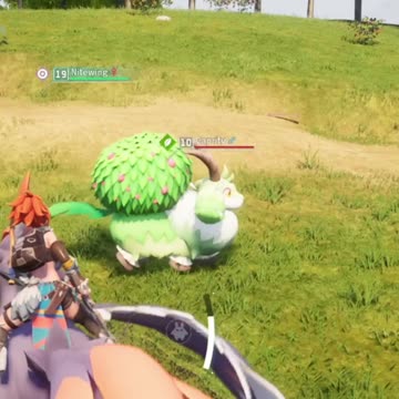 Hey you Caprity :) (Palworld)