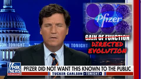 Tucker Carlson - Pfizer