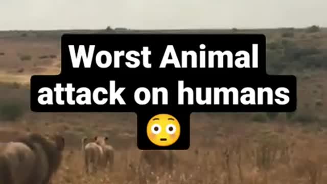 Worst animal attack on humans