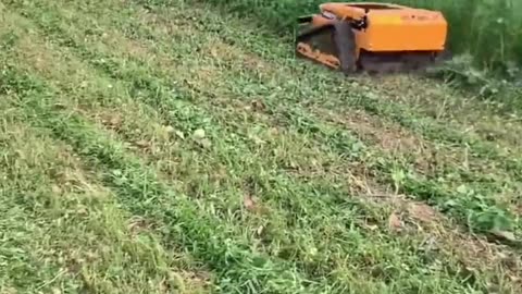 Remote control lawnmower.