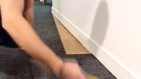 AWESOME WORK
