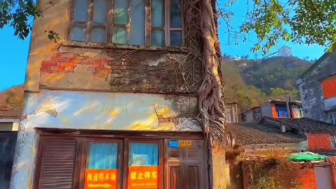 Natural house 🏡\ Nature Lovers \