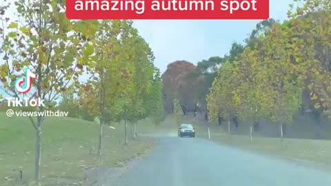 Autumn in Sydney, Australia